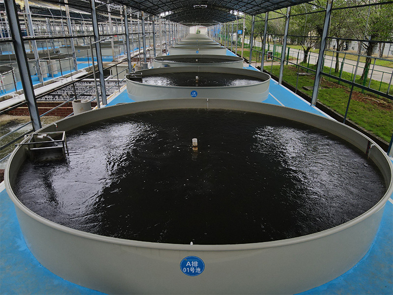 广西龙州循环水养殖基地